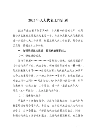 2025年人大代表工作计划