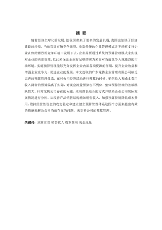 财务管理专业-广东龙腾企业管理公司预算管理分析与建议