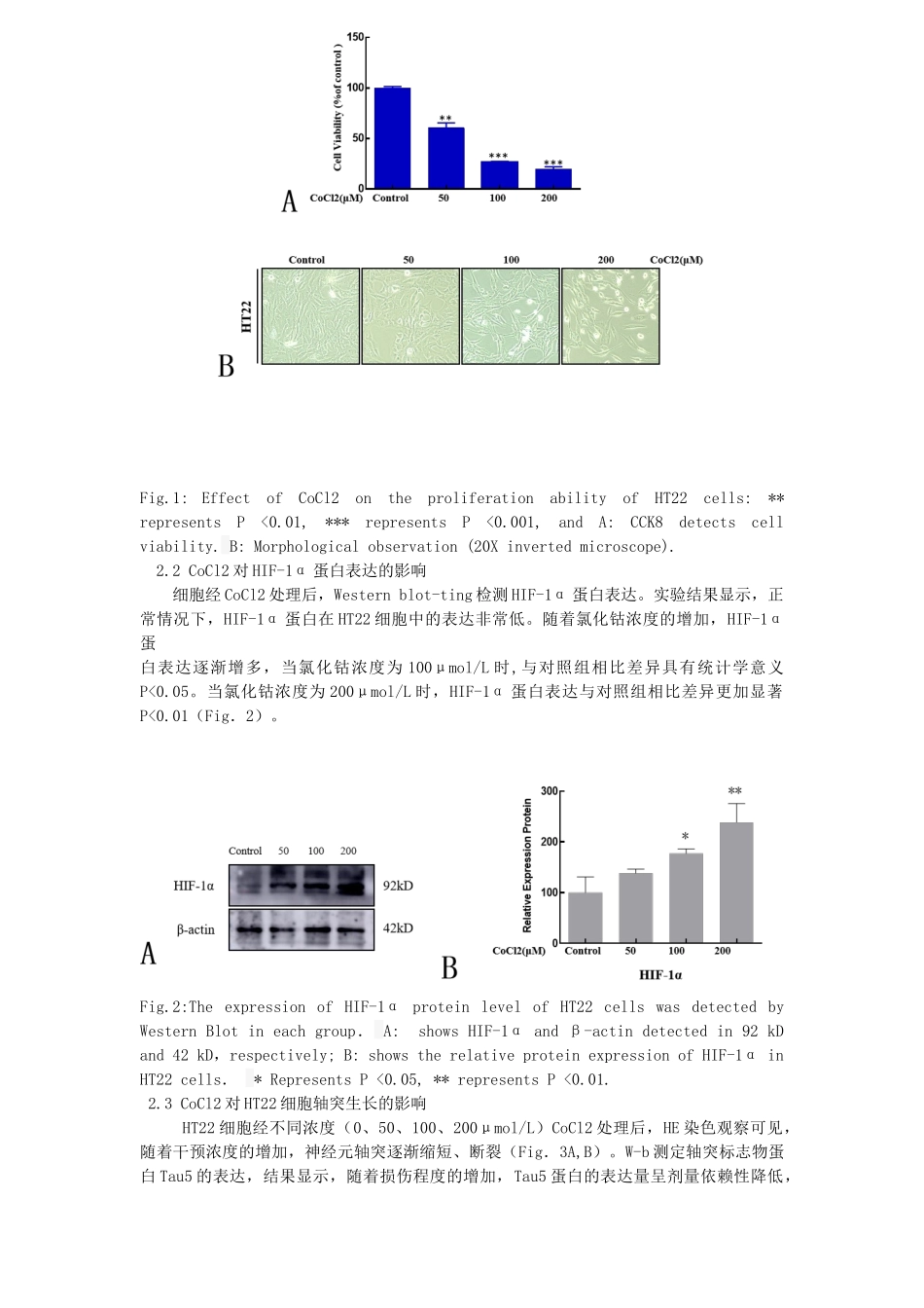 不同浓度氯化钴诱导小鼠海马神经元细胞缺氧损伤模型的比较_第3页