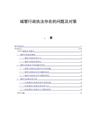 城管行政执法存在的问题及对策  行政管理专业