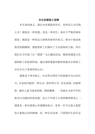安全是感恩之保障  演讲稿