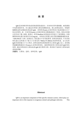 大黄鱼盐析亲和层析