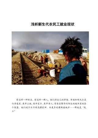 公共管理专业  浅析新生代农民工就业现状