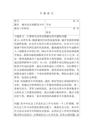 城市社区闲散青少年服务工作研究 开题报告
