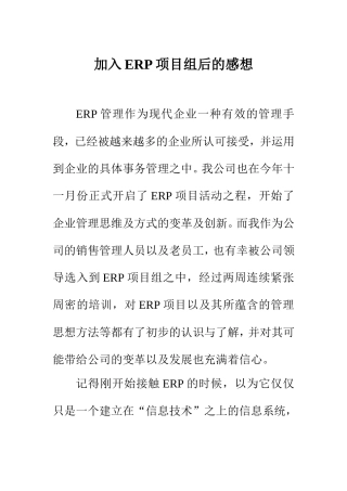 工商管理专业 加入ERP项目组后的感想
