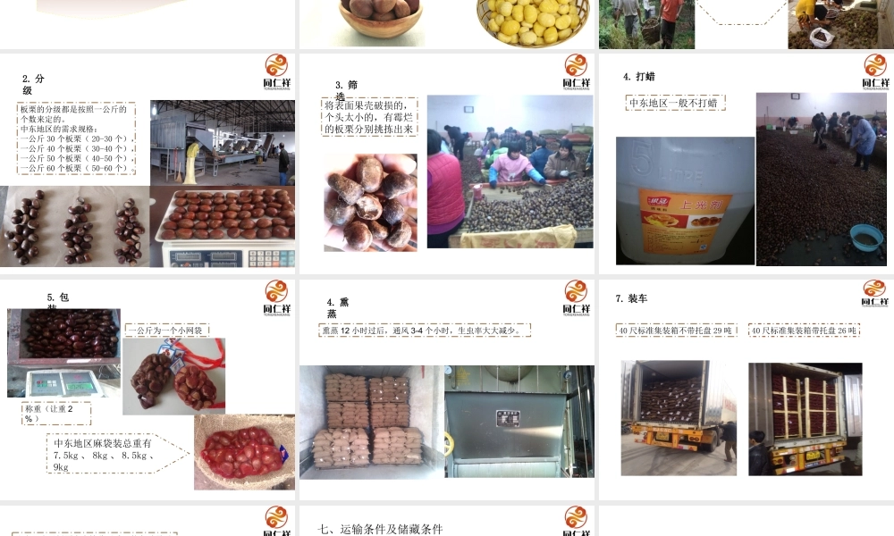 板栗介绍分析研究