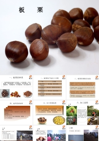 板栗介绍分析研究