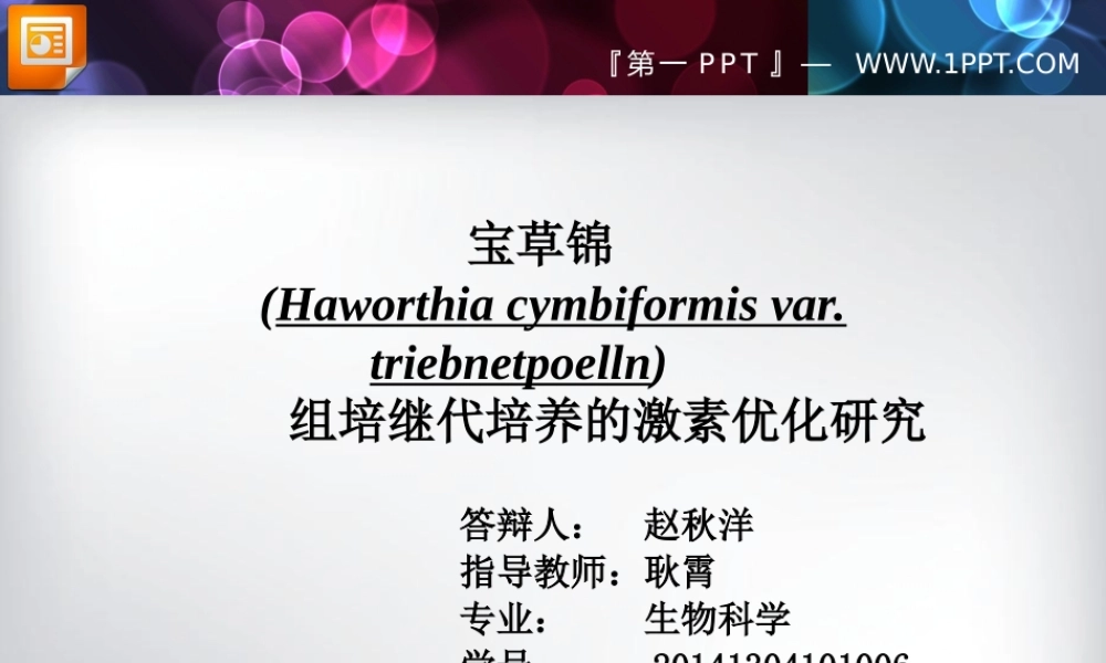 宝草锦(Haworthia cymbiformis var. triebnet poelln)组培继代培养的激素优化研究论文答辩PPT