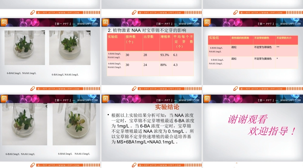 宝草锦(Haworthia cymbiformis var. triebnet poelln)组培继代培养的激素优化研究论文答辩PPT