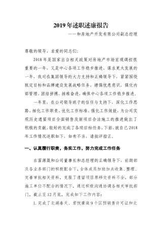 房地产开发有限公司副总经理 年度述职报告