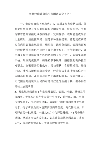 经典收藏葡萄病虫害图谱大全(上)