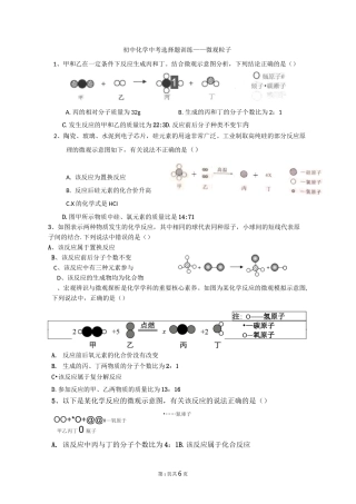 初中化学中考选择题训练——微观粒子