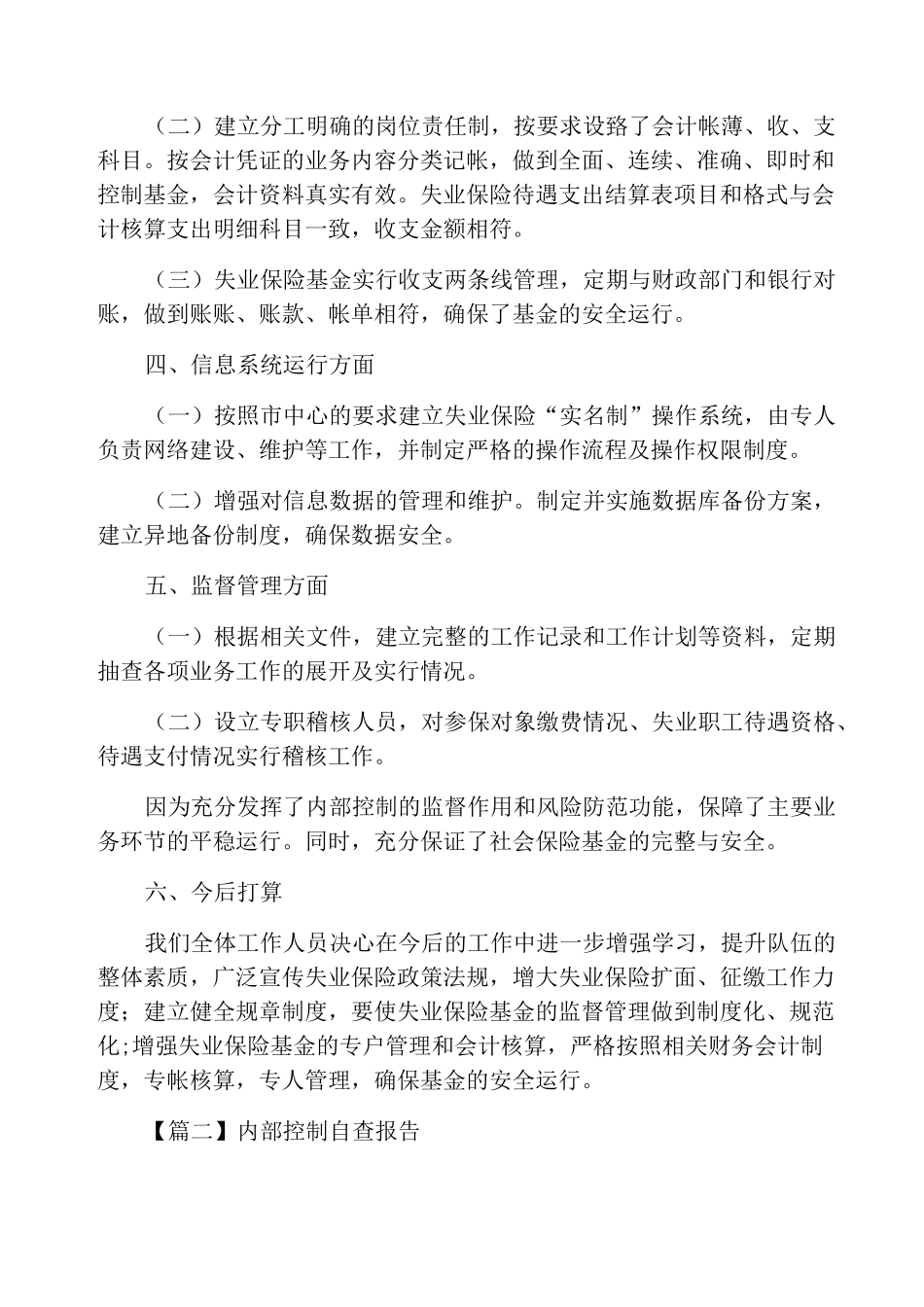 内部控制自查报告_第2页