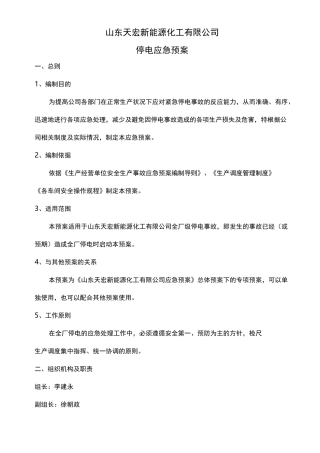 全厂停电应急处置预案