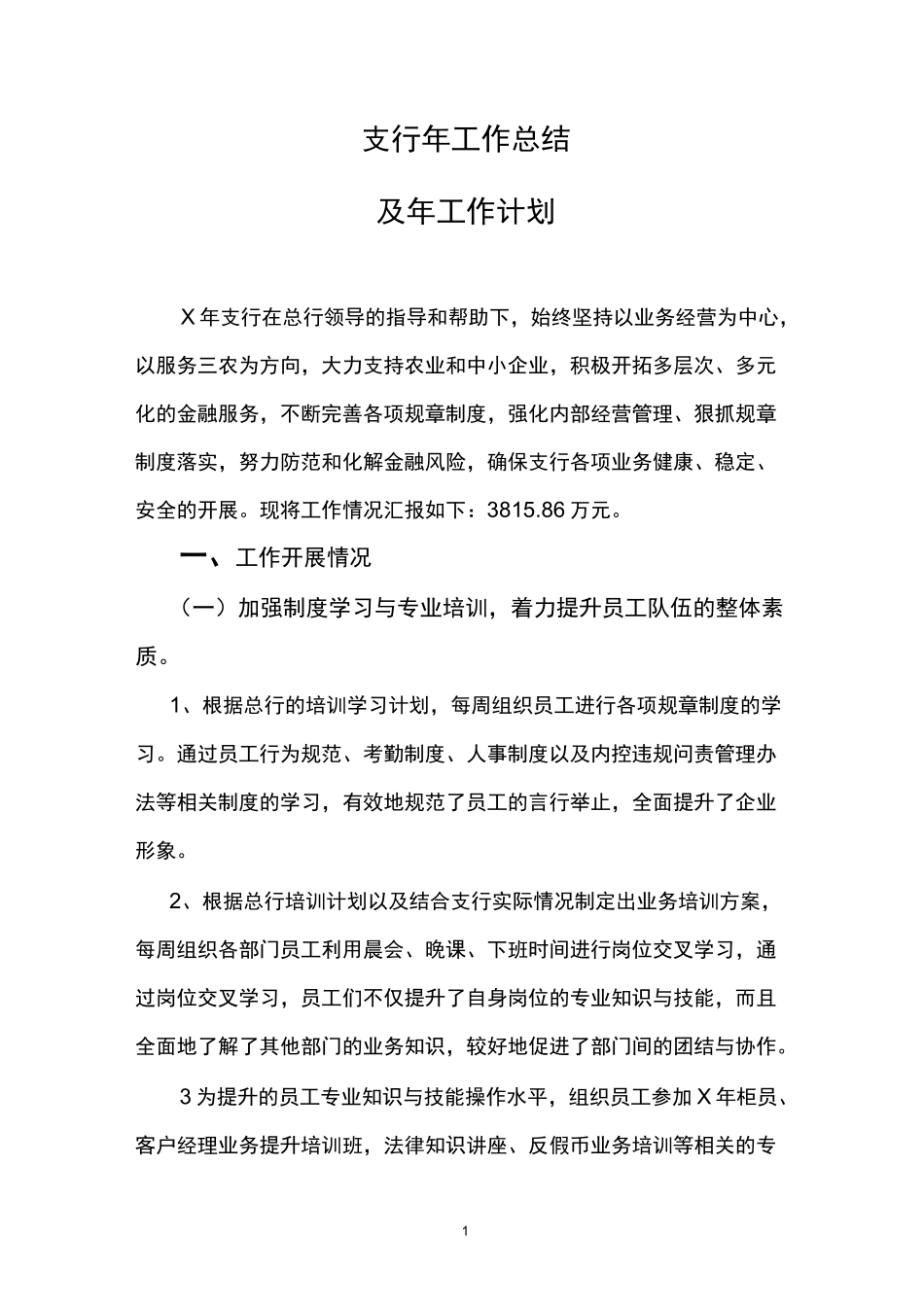 支行年度工作总结_第1页