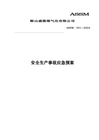 煤气化有限公司安全生产事故应急处置预案