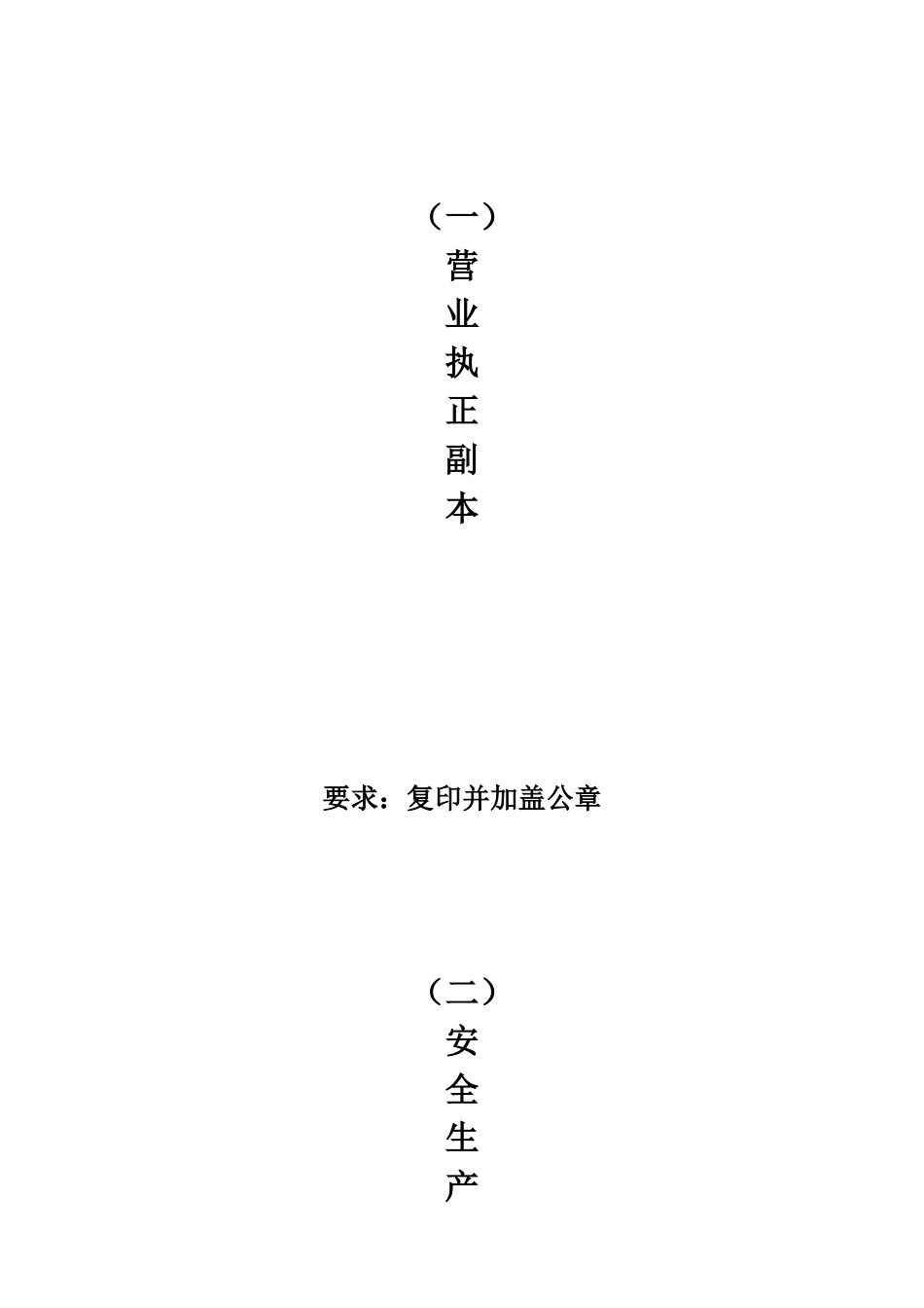 生产经营单位安全生产档案范本_第2页