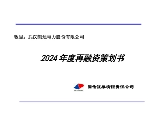 电力某某年度再融资策划书（doc 53）