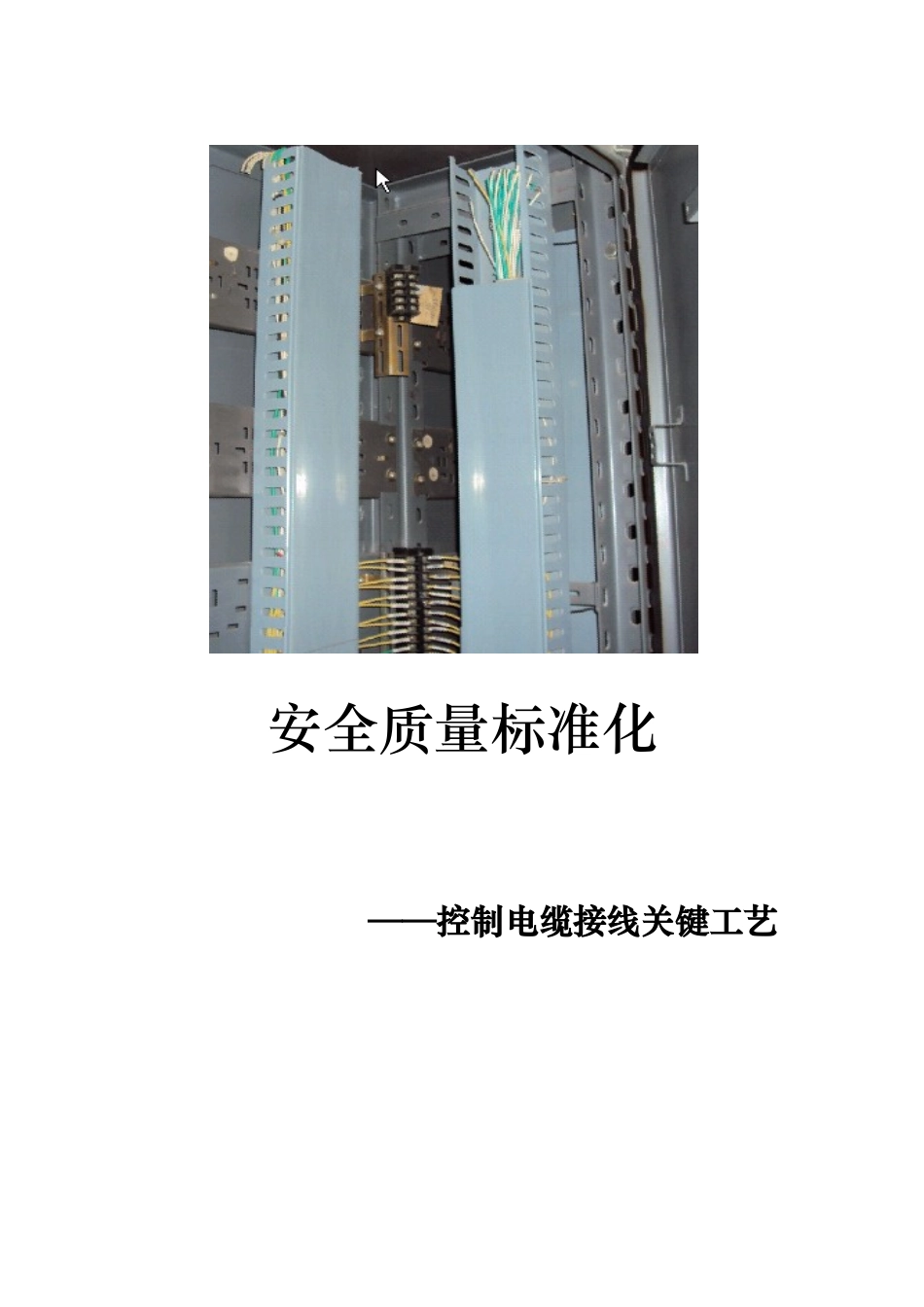 电力系统控制电缆接线工艺要求内容_第1页