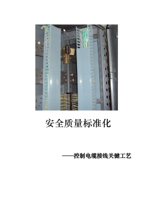 电力系统控制电缆接线工艺要求内容