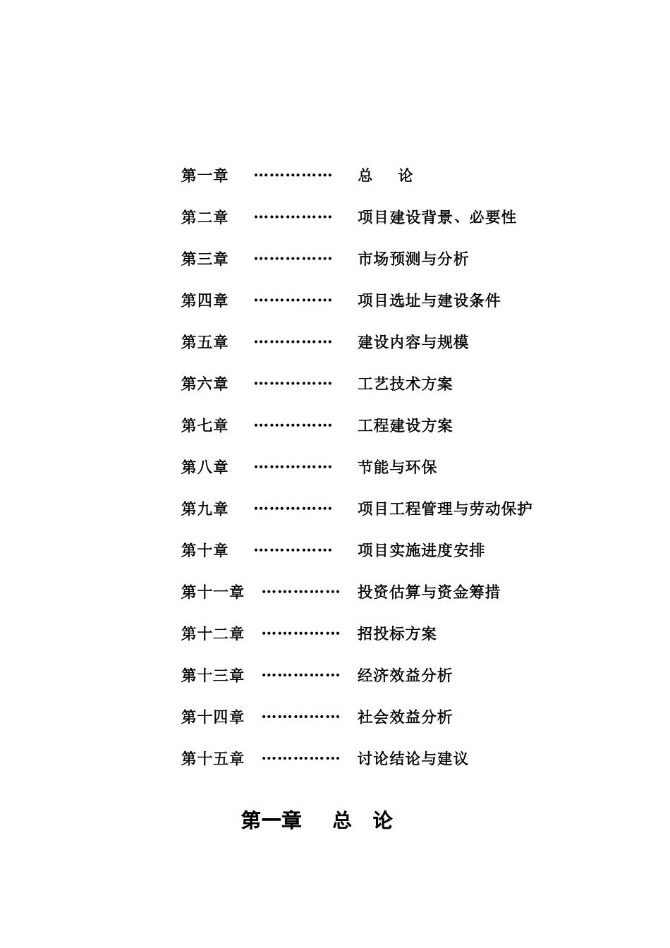电动车项目可行性研究报告_第2页