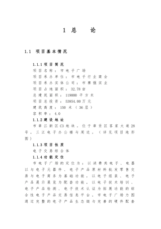 电子广场项目实施建议书正文