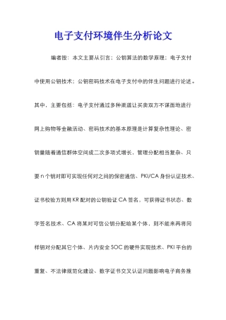 电子支付环境伴生分析论文