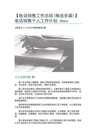 电话销售个人工作计划.docx