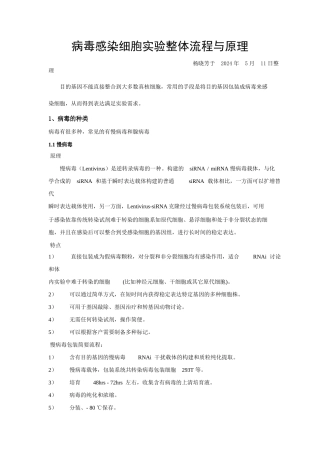 病毒感染细胞实验整体流程及原理