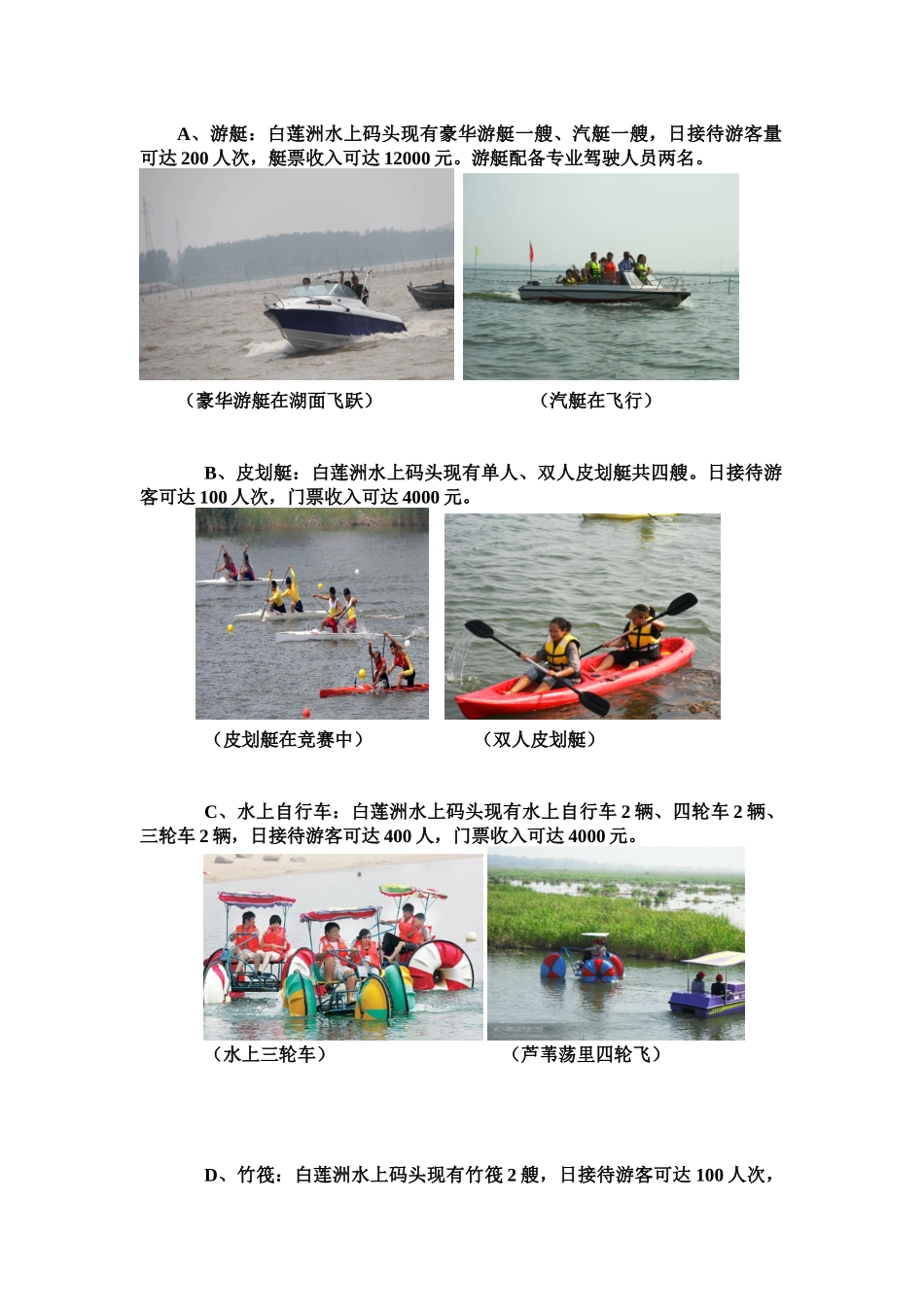 白莲洲水上娱乐中心运营策划书_第3页