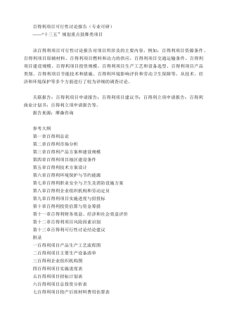 百得利项目可行性研究报告