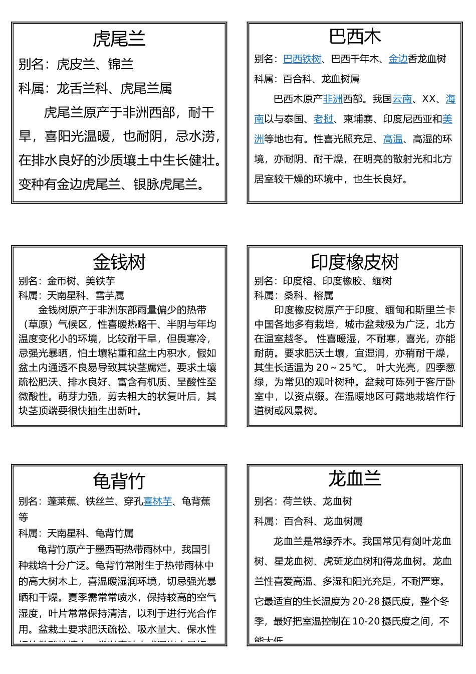 盆栽花木植物标签_第1页