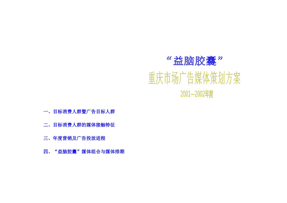 益脑胶囊广告媒体策划案_第1页