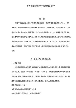 盐城市大洋湾畔电视广告投放计划书