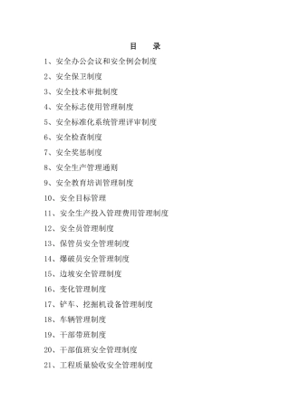 盐矿制度汇编Word文档