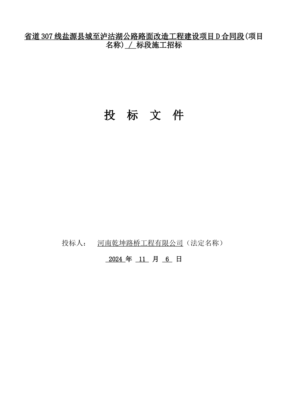 省道307线盐源县城至泸沽湖公路路面改造工程建设项目D_第1页