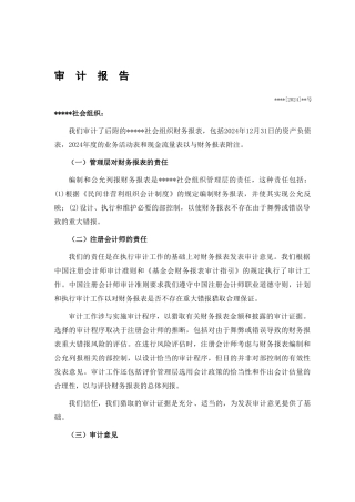 社会团体年度财务审计报告范本
