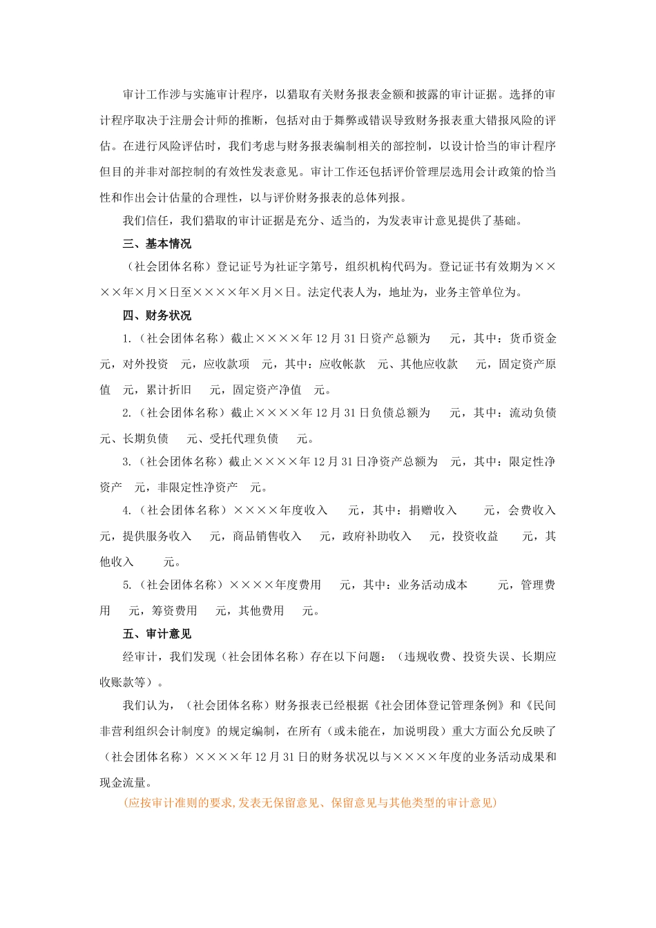 社会团体财务审计报告模板_第2页