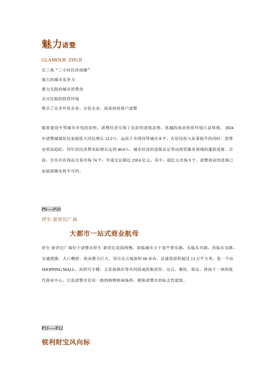 祥生新世纪广场招商手册文案_第3页