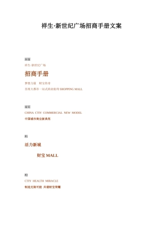 祥生新世纪广场招商手册文案