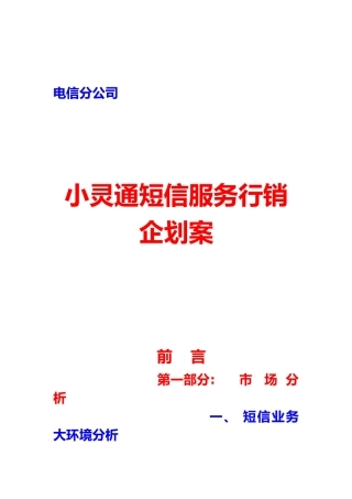 福州小灵通行销企划案