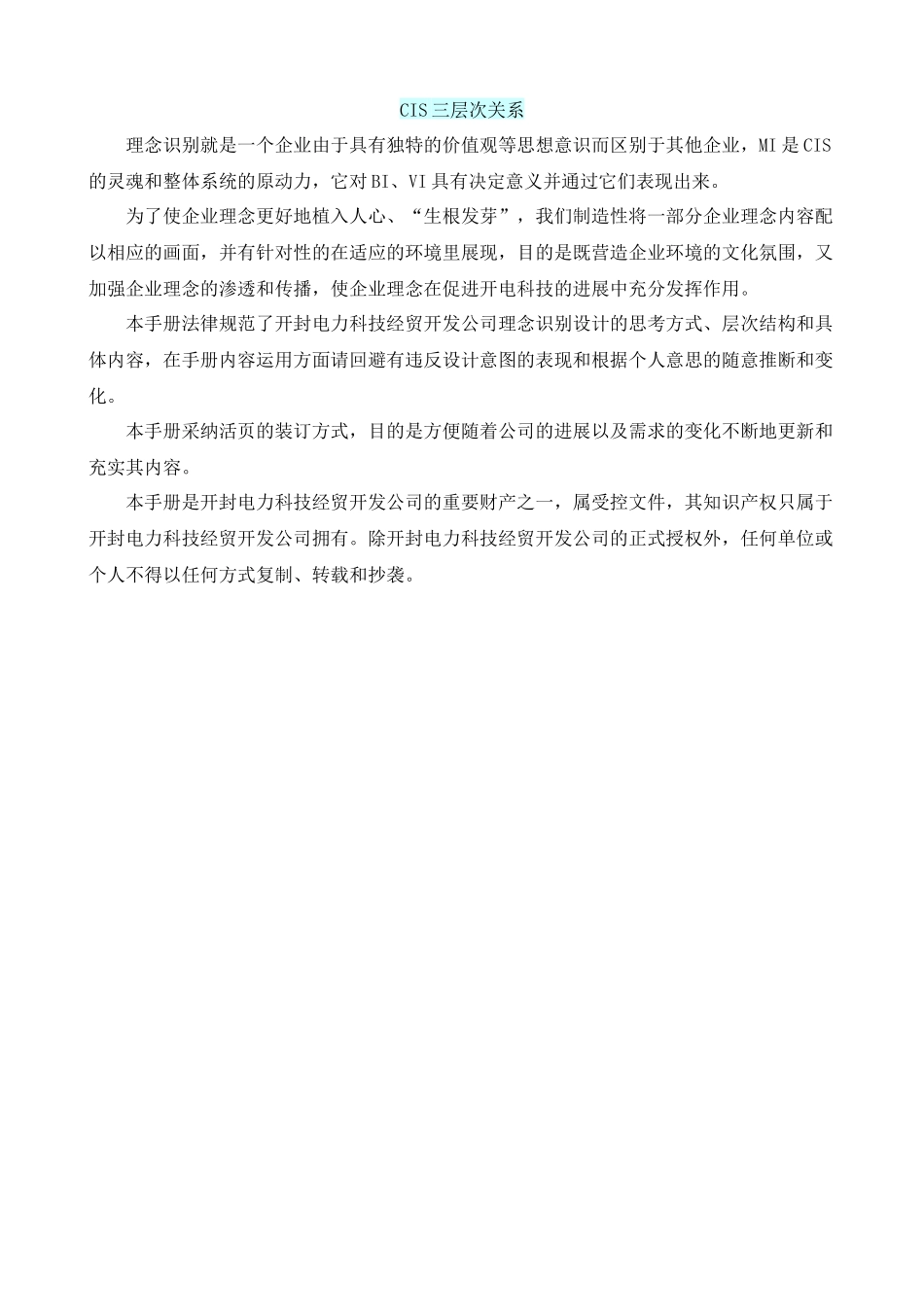 科技公司理念手册新_第2页