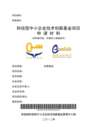 科技型中小企业项目技术方案与创新性