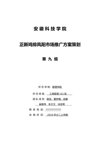 第九组正新鸡排凤阳市场推广方案