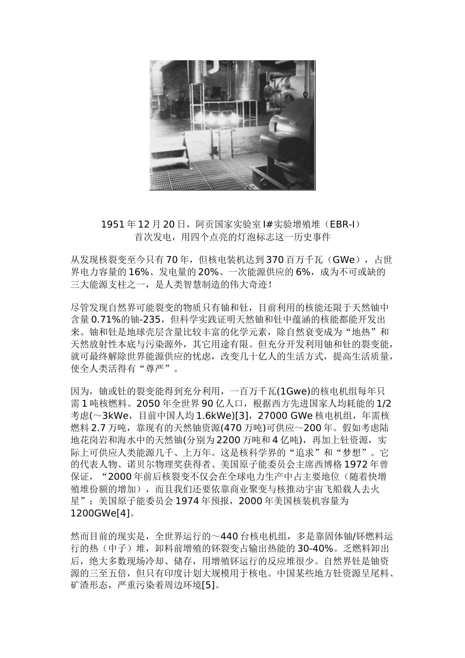 第四代核能发展的困境_第2页
