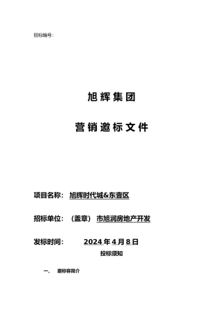 策划代理公司邀标书模板