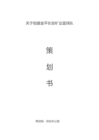 篮球队成立项目策划书