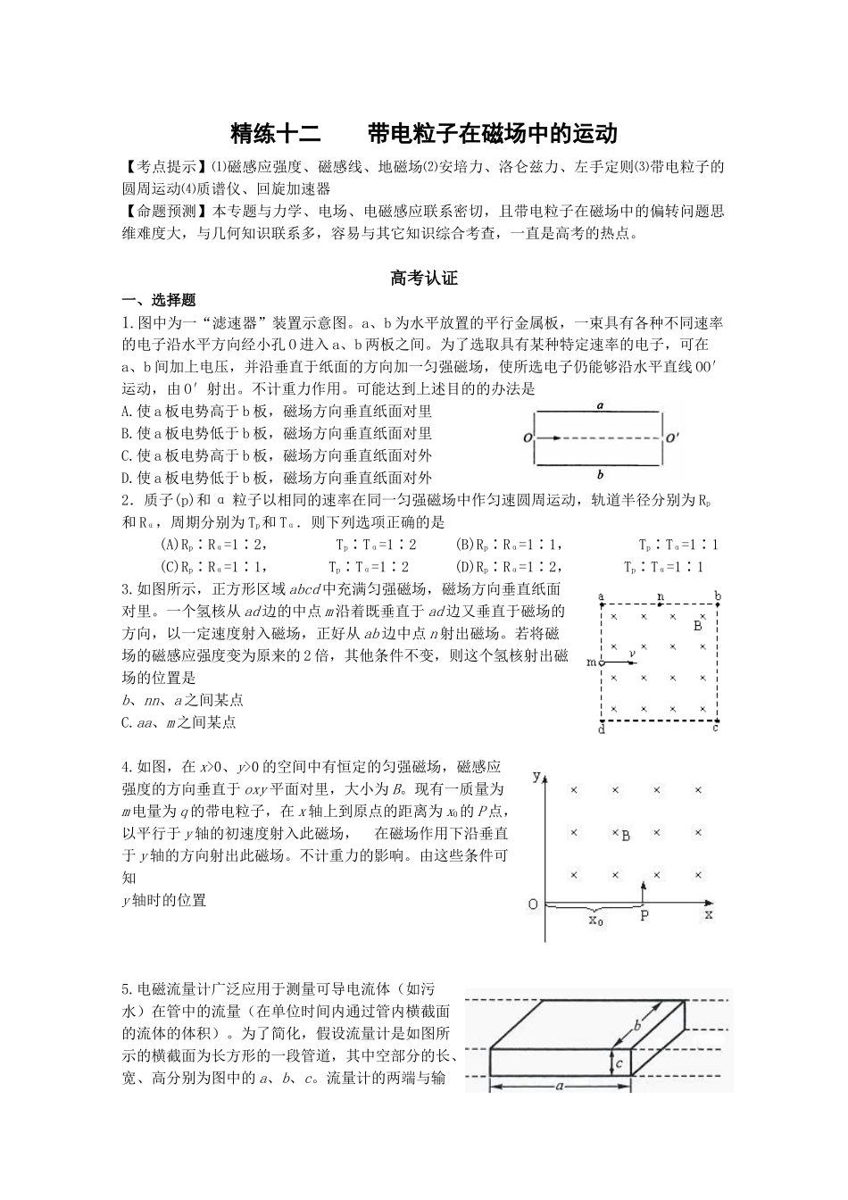 精练十二带电粒子在磁场中的运动_第1页