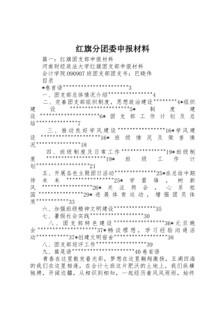 红旗分团委申报材料