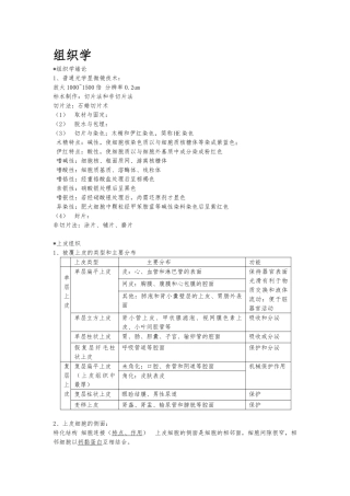 组织学与胚胎学重点归纳